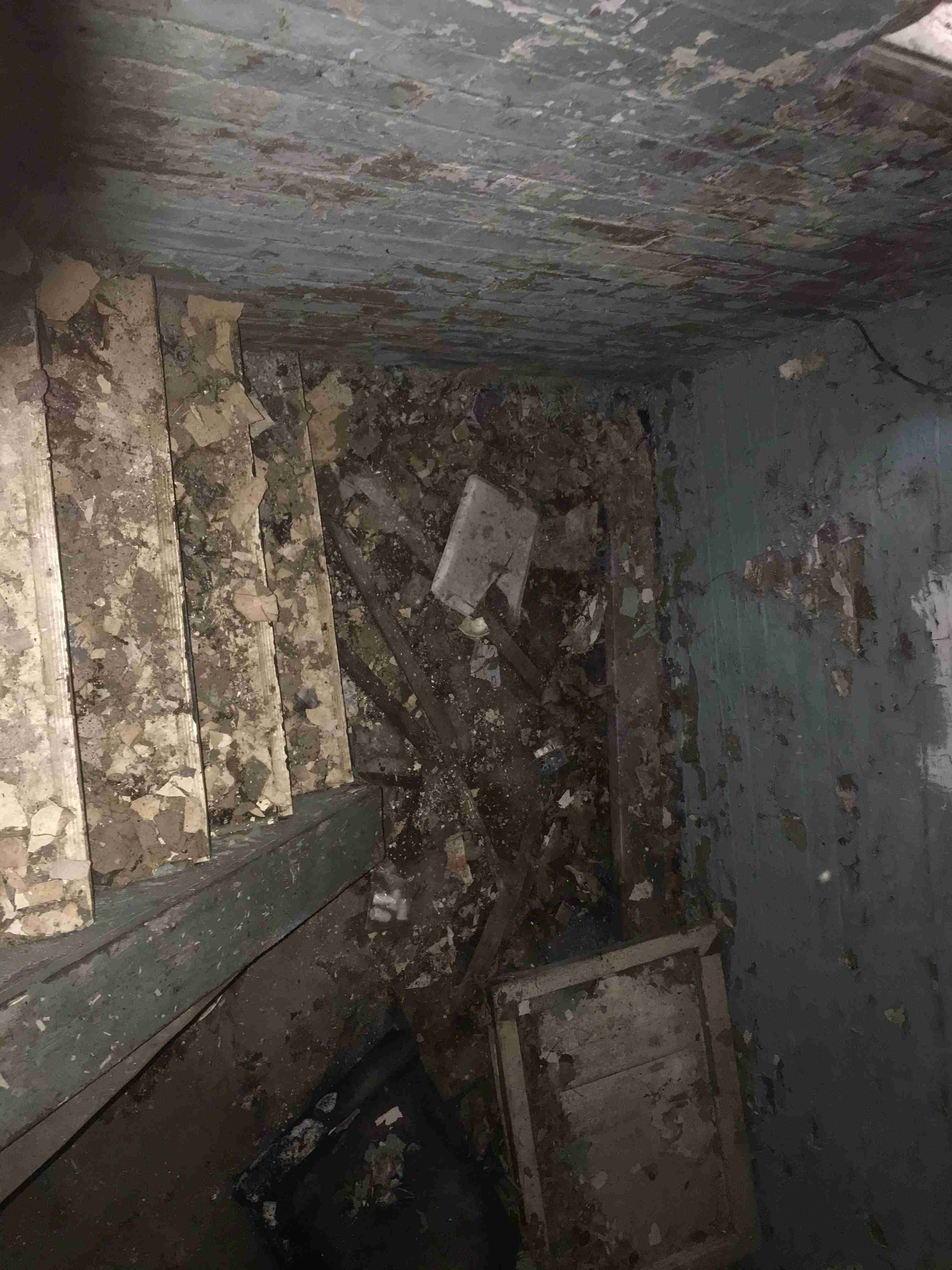 Photo Aug 20, 7 13 15 PM.jpg